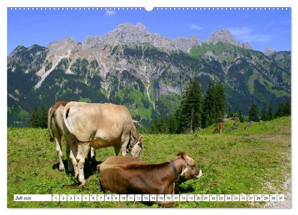 Produktbild: Geliebtes Tirol. Alpiner Zauber in &Ouml;sterreich (Wandkalender 2026 DIN A2 quer), CALVENDO Monatskalender