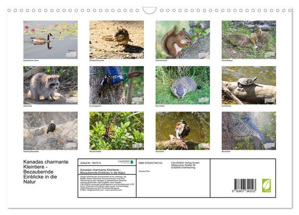 Produktbild: Kanadas charmante Kleintiere - Bezaubernde Einblicke in die Natur (Wandkalender 2026 DIN A3 quer), CALVENDO Monatskalender