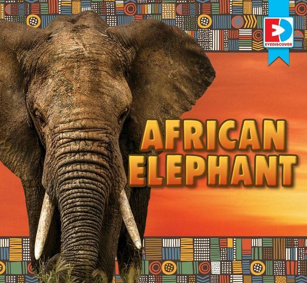 Produktbild: African Elephant