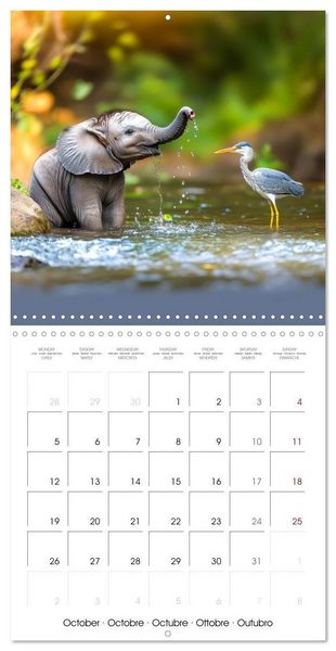 Produktbild: Baby Elephant Adventures (Wall Calendar 2026 12 &times; 12 Inch) CALVENDO 12 Month Wall Calendar