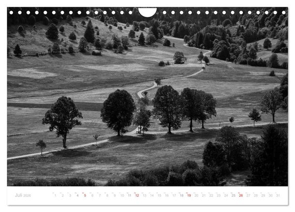 Produktbild: Mystischer Schwarzwald (Wandkalender 2026 DIN A4 quer), CALVENDO Monatskalender