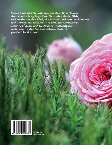 Produktbild: Die Liebe aber bleibt