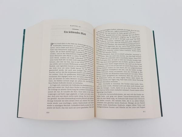 Produktbild: Das Rad der Zeit 4