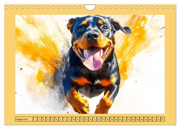 Produktbild: Kraftvolle Rottweiler. Stattliche Begleithunde im Aquarell-Stil (Wandkalender 2026 DIN A4 quer), CALVENDO Monatskalender
