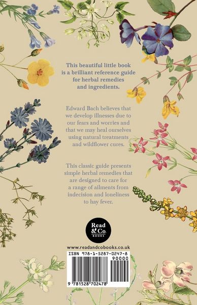 Produktbild: The Twelve Healers and Other Remedies
