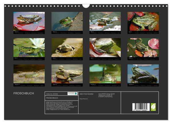 Produktbild: FROSCHBUCH (Wandkalender 2026 DIN A3 quer), CALVENDO Monatskalender