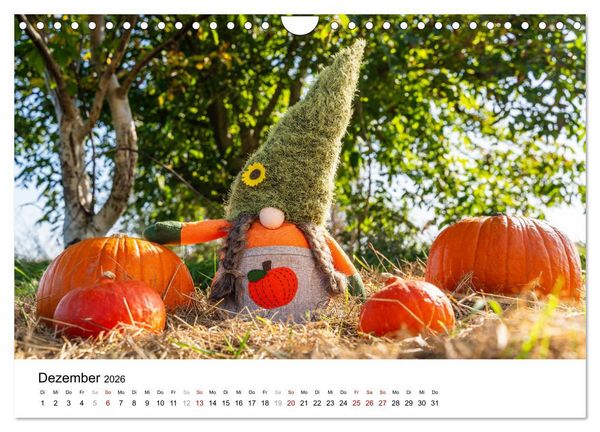 Produktbild: K&Uuml;RBIS KALENDER - Die sch&ouml;nsten K&uuml;rbisse des Jahres (Wandkalender 2026 DIN A4 quer), CALVENDO Monatskalender