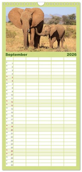 Produktbild: Familienplaner 2026 - Afrika - im Reich der Elefanten mit 5 Spalten (Wandkalender, 21 x 45 cm) CALVENDO