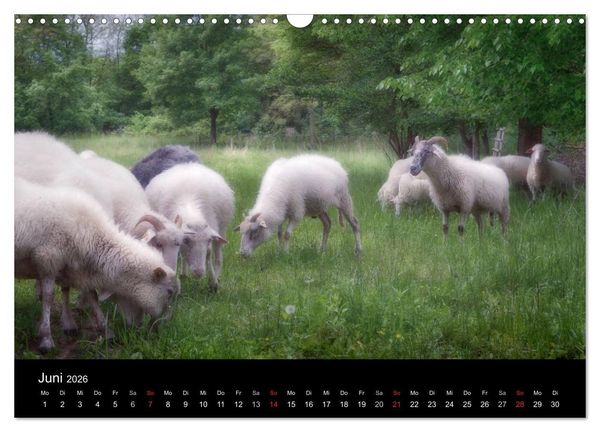 Produktbild: M&auml;rchenkulissen II (Wandkalender 2026 DIN A3 quer), CALVENDO Monatskalender