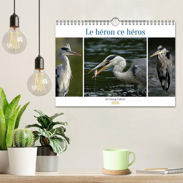 Produktbild: Le h&eacute;ron ce h&eacute;ros de l'&eacute;tang Colbert (Calendrier mural 2026 DIN A4 vertical), CALVENDO calendrier mensuel