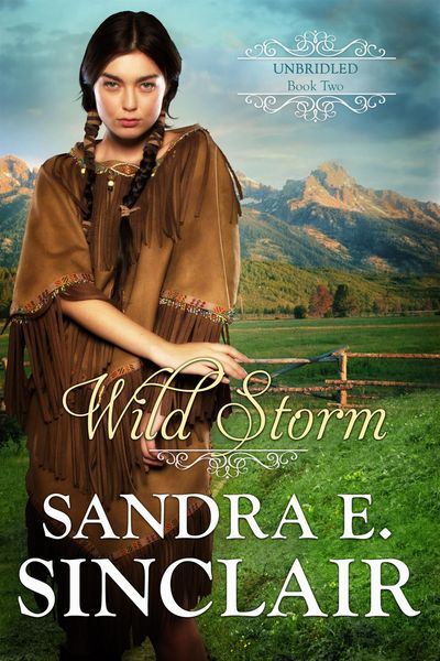 Produktbild: Wild Storm (The Unbridled Series, #2)