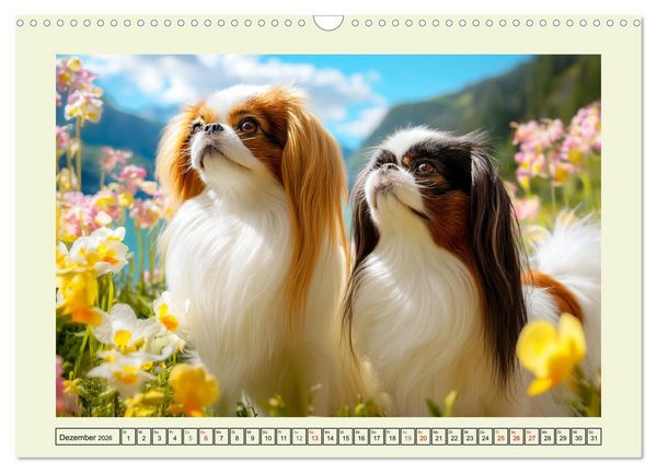 Produktbild: Edle Japan Chins. Zarte Herzen aus Fernost (Wandkalender 2026 DIN A3 quer), CALVENDO Monatskalender