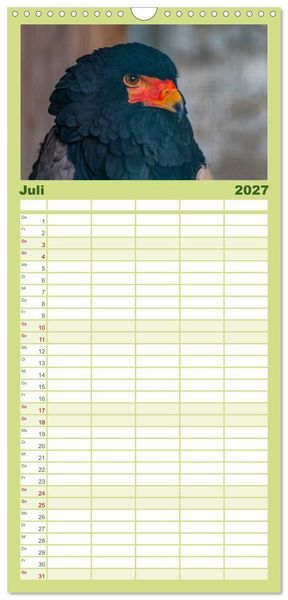 Produktbild: Familienplaner 2027 - Greifv&ouml;gel in Aktion - Dynamische Flugbilder und Portr&auml;ts mit 5 Spalten (Wandkalender, 21 x 45 cm) CALVENDO