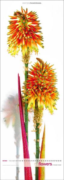 Produktbild: Flowers