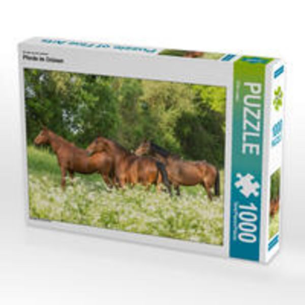 CALVENDO Puzzle Ein Motiv aus dem Kalender Pferde im Grünen | 1000 Teile Lege-Größe 64x48cm Foto-Puzzle für glückliche Stunden