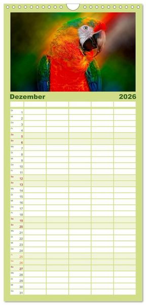 Produktbild: Familienplaner 2026 - Mein bunter Papagei mit 5 Spalten (Wandkalender, 21 x 45 cm) CALVENDO