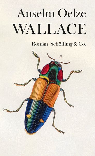 Wallace, Gebundene Ausgabe von Anselm Oelze, Schöffling