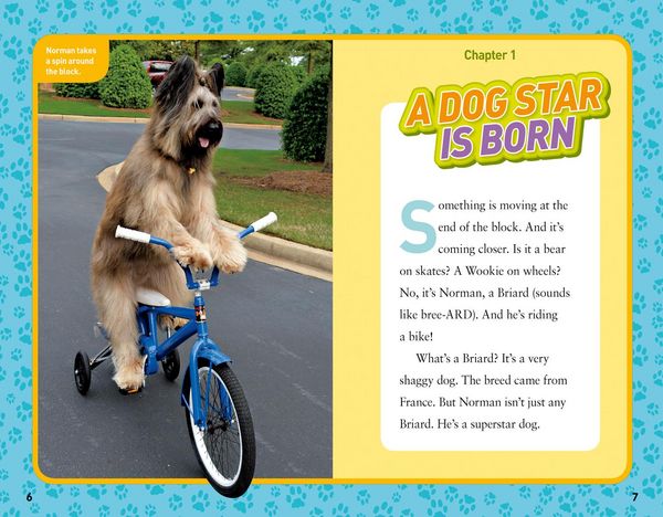 Produktbild: National Geographic Kids Chapters: Dog on a Bike!