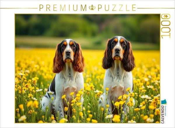 CALVENDO Puzzle American Cocker Spaniel | 1000 Teile Lege-Größe 64x48cm Foto-Puzzle für glückliche Stunden