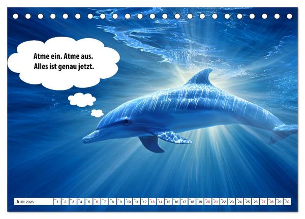 Produktbild: Stille Pfoten, weise Worte - Tiere zeigen dir den Weg zu mehr Gelassenheit (Tischkalender 2026 DIN A5 quer), CALVENDO Monatskalender