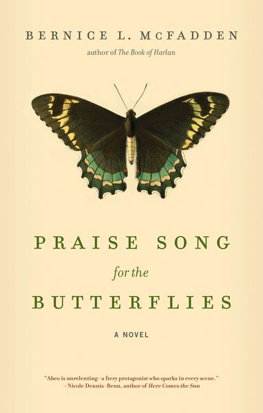 Produktbild: Praise Song for the Butterflies