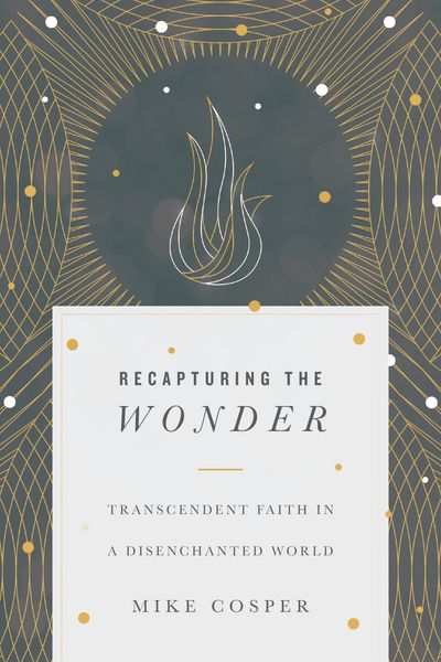 Produktbild: Recapturing the Wonder