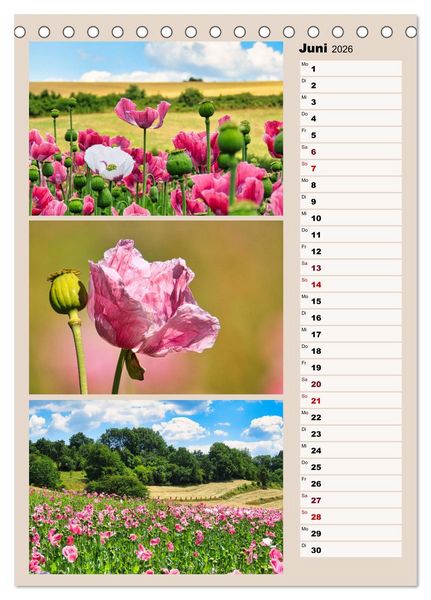 Produktbild: Harmonie der Farben in Landschaft und Natur (Tischkalender 2026 DIN A5 hoch), CALVENDO Monatskalender