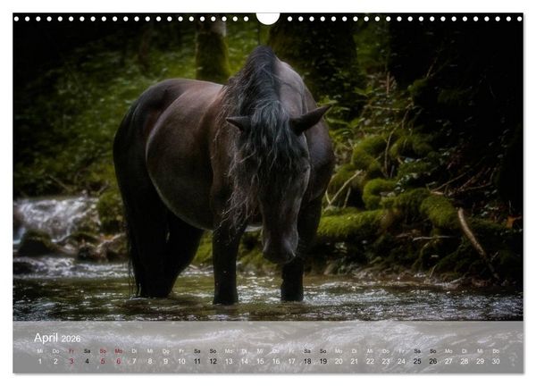 Produktbild: Pferde - Anmut und St&auml;rke gepaart mit Magie (Wandkalender 2026 DIN A3 quer), CALVENDO Monatskalender