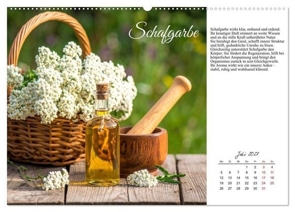 Produktbild: Heilsame Aroma&ouml;le (Wandkalender 2027 DIN A2 quer), CALVENDO Monatskalender