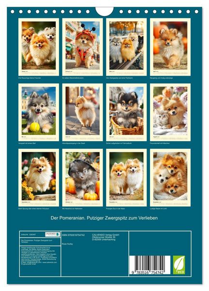 Produktbild: Der Pomeranian. Putziger Zwergspitz zum Verlieben (Wandkalender 2027 DIN A4 hoch), CALVENDO Monatskalender