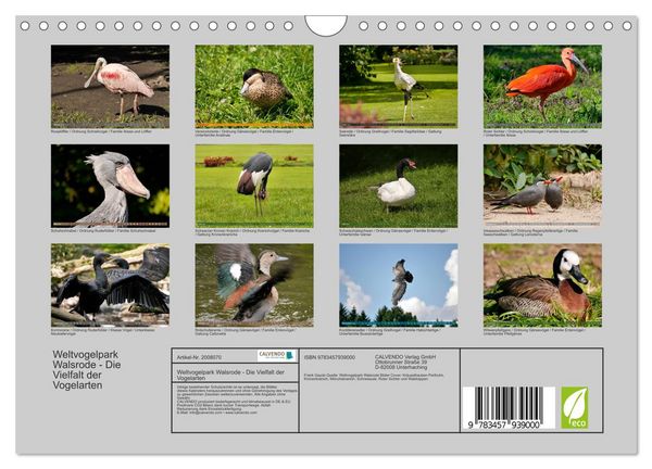Produktbild: Weltvogelpark Walsrode - Die Vielfalt der Vogelarten (Wandkalender 2026 DIN A4 quer), CALVENDO Monatskalender