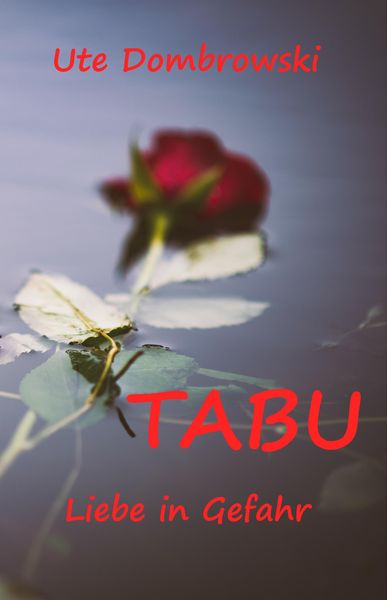 Produktbild: Tabu Liebe in Gefahr