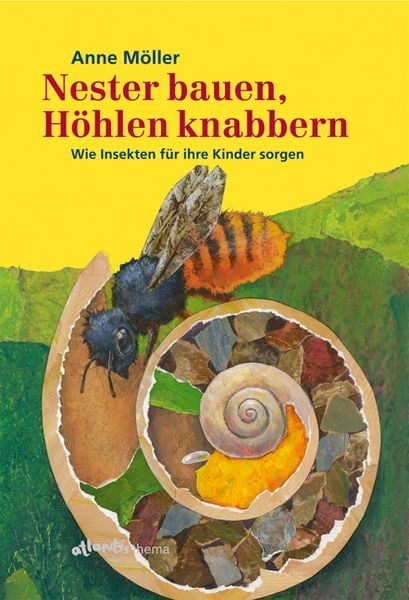 Nester bauen, Höhlen knabbern, Paperback von Anne Möller, Atlantis Kinderbuch, 978-3-7152-0486-4