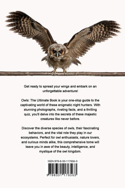Produktbild: Owls The Ultimate Book
