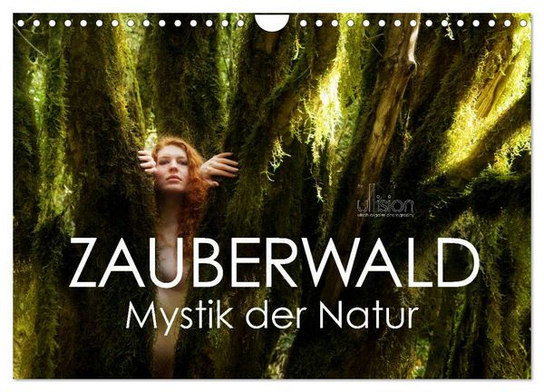 Produktbild: ZAUBERWALD Mystik der Natur (Wandkalender 2026 DIN A4 quer), CALVENDO Monatskalender