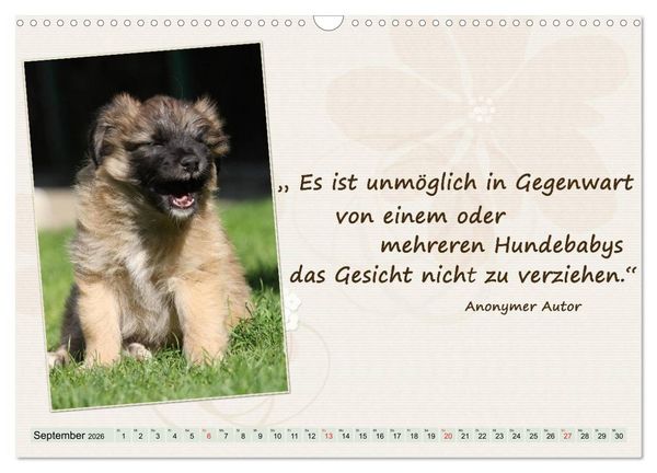 Produktbild: Mit Hundezitaten gut durchs Jahr / CH-Version (Wandkalender 2026 DIN A3 quer), CALVENDO Monatskalender