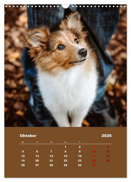 Produktbild: Du und ich - Dreamteamfotografie - Mensch und Hund (Wandkalender 2026 DIN A3 hoch), CALVENDO Monatskalender