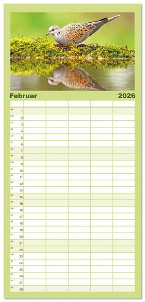 Produktbild: Familienplaner 2026 - V&ouml;gel in unserer Heimat: Kiebitz, Wiedehopf und Turteltaube mit 5 Spalten (Wandkalender, 21 x 45 cm) CALVENDO