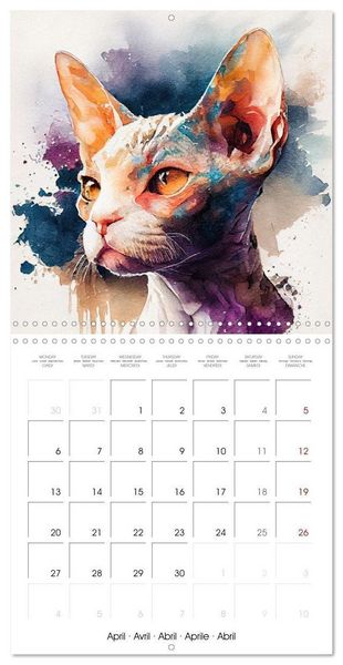 Produktbild: Cat Breeds in Watercolor (Wall Calendar 2026 12 &times; 12 Inch) CALVENDO 12 Month Wall Calendar