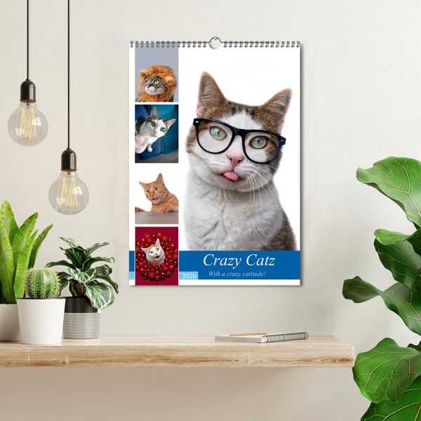 Produktbild: Crazy Catz. (Wandkalender 2026 DIN A3 hoch), CALVENDO Monatskalender
