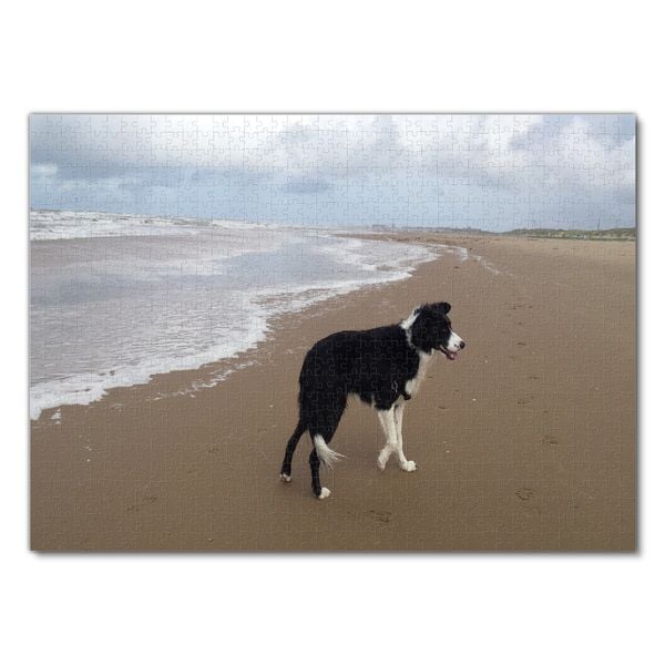 Produktbild: Lais Puzzle Border Collie 1000 Teile