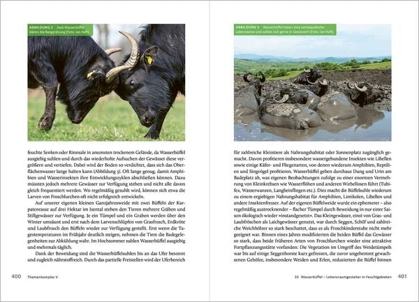 Produktbild: Die R&uuml;ckkehr der gro&szlig;en Pflanzenfresser