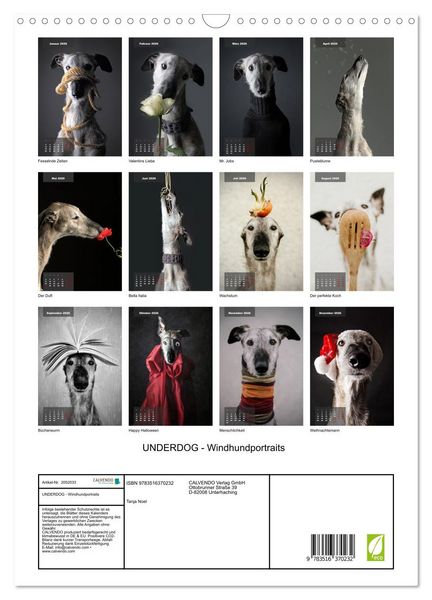 Produktbild: UNDERDOG - Windhundportraits (Wandkalender 2026 DIN A3 hoch), CALVENDO Monatskalender