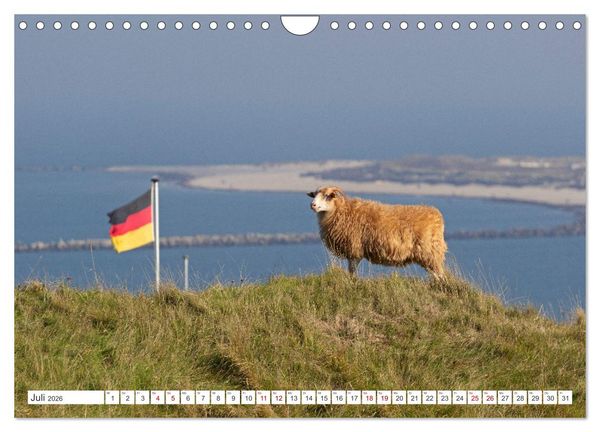 Produktbild: Helgoland - Hochseeinsel in der Nordsee (Wandkalender 2026 DIN A4 quer), CALVENDO Monatskalender