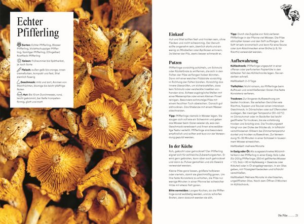 Produktbild: Pilze. Das Kochbuch