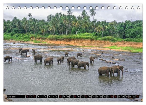 Produktbild: Sri Lanka 2026 &ndash; Exotische Welt (Tischkalender 2026 DIN A5 quer), CALVENDO Monatskalender