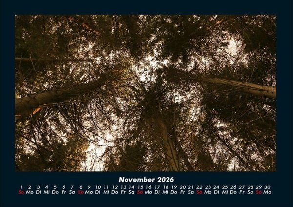 Produktbild: Bilder der Natur 2026 Fotokalender DIN A4