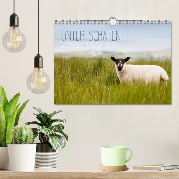 Produktbild: Unter Schafen - Wegbegleiter auf Reisen (Wandkalender 2026 DIN A4 quer), CALVENDO Monatskalender