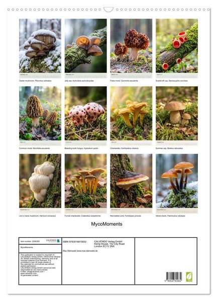 Produktbild: MycoMoments (Wall Calendar 2027 DIN A2 portrait), CALVENDO 12 Month Wall Calendar