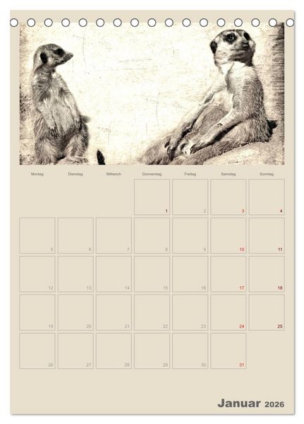 Produktbild: Lustige Erdm&auml;nnchen (Tischkalender 2026 DIN A5 hoch), CALVENDO Monatskalender